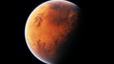 Photo of Marsın Yapısı Ve Özellikleri Nelerdir?